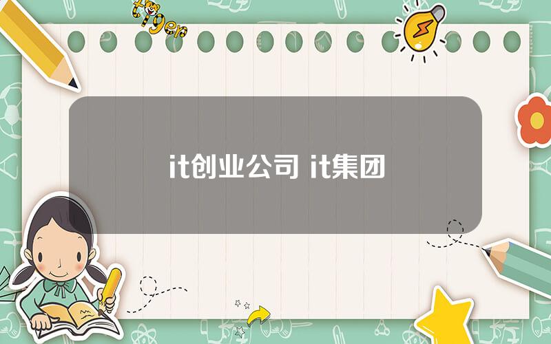 it创业公司 it集团